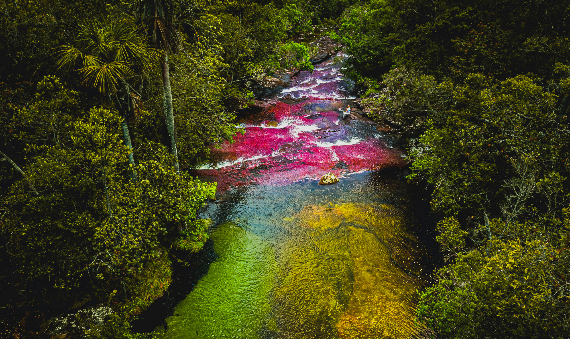 Caño Cristales